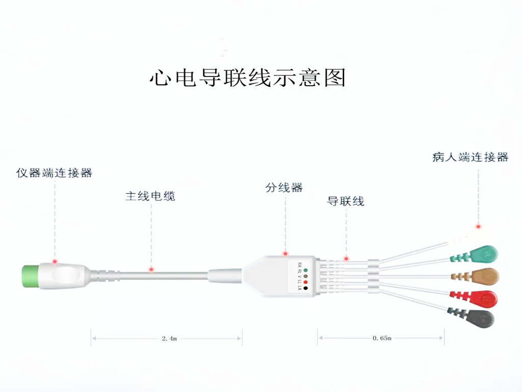 久久水蜜桃国产网站心电导联线